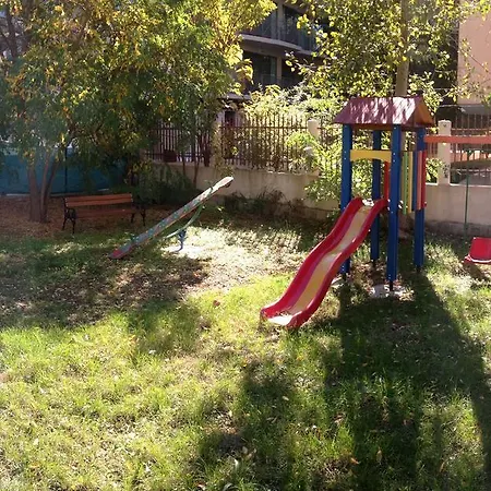 Alex Deluxe סאני ביץ'